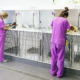 Veterinarian doctors are making a check up of a cute illness dogs. Veterinary Concept.